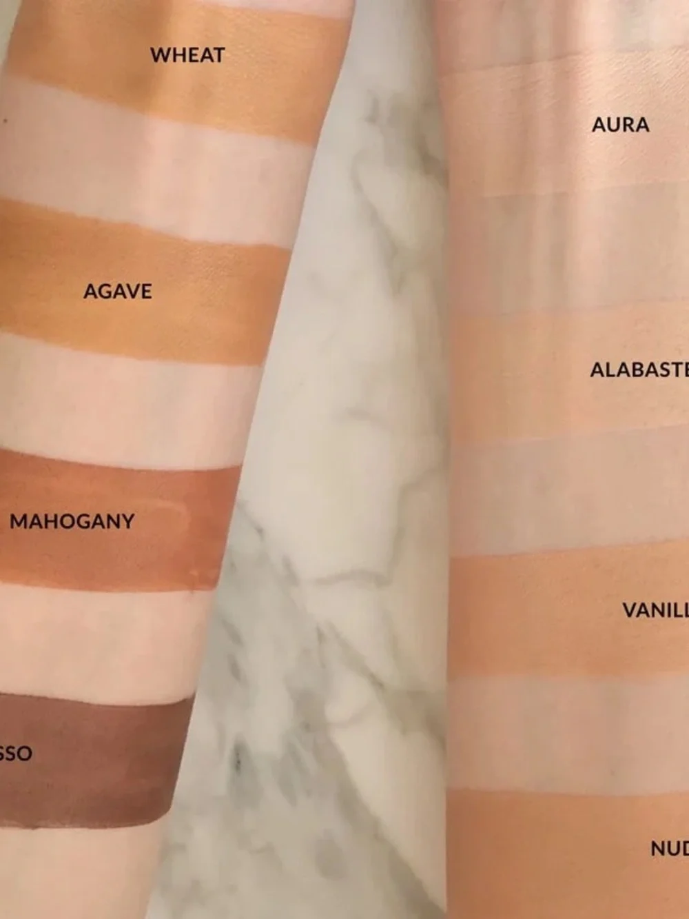 Chantecaille Future Skin Cushion Espresso